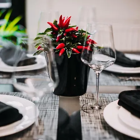 Tony's Place Under The Castle Apartment *