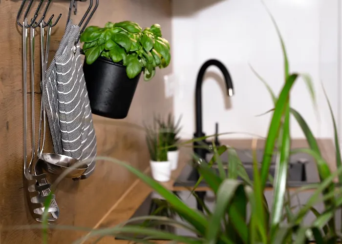 Tony's Place Under The Castle Ljubljana