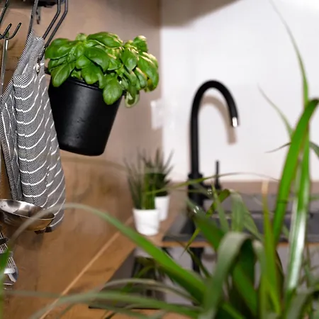 Tony's Place Under The Castle Liubliana